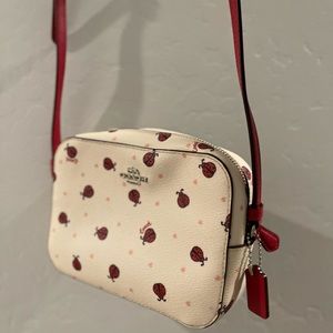 Ladybug Coach Purse
